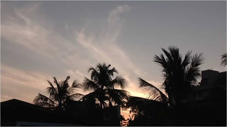 नए साल की नई सुबह's image