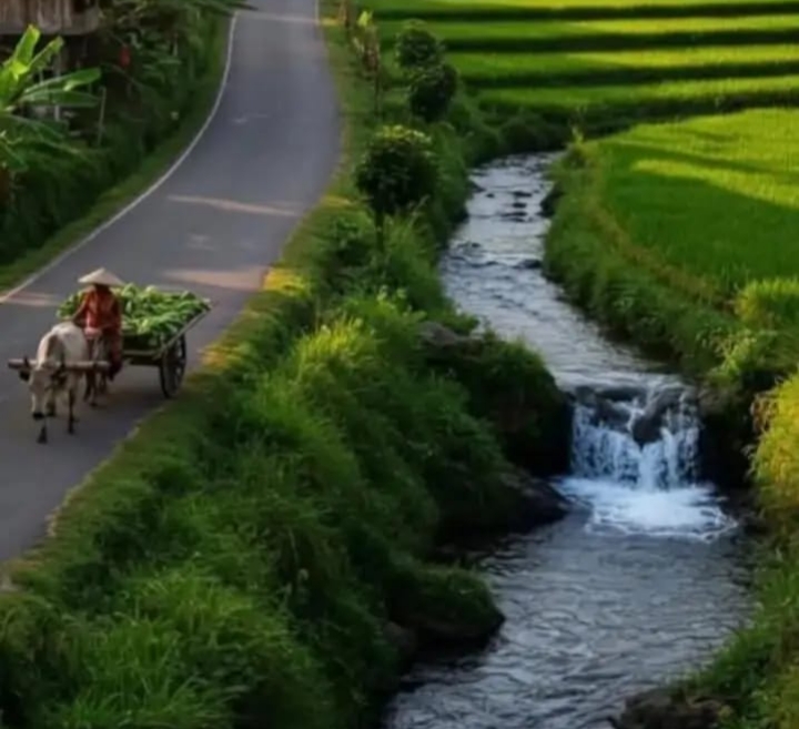 मंजिल का सफर's image