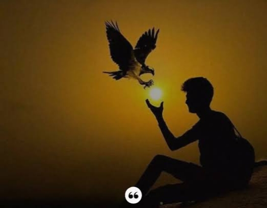 उम्मीद's image