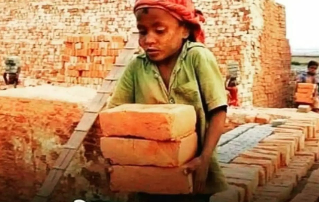 नई सुबह's image