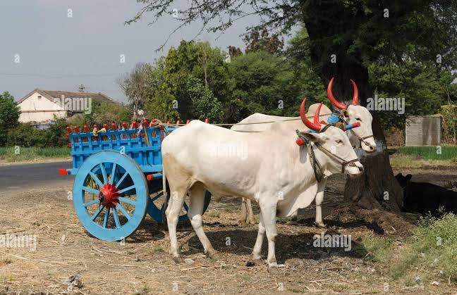 बैलगाड़ी's image