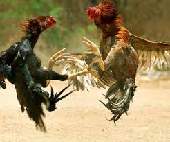 शहर की हवा's image