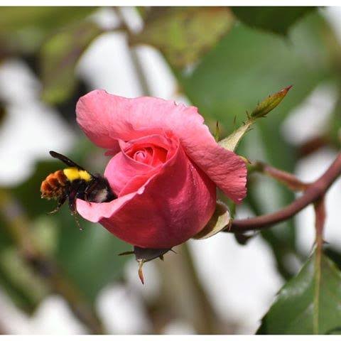 How to stop Negativity's image