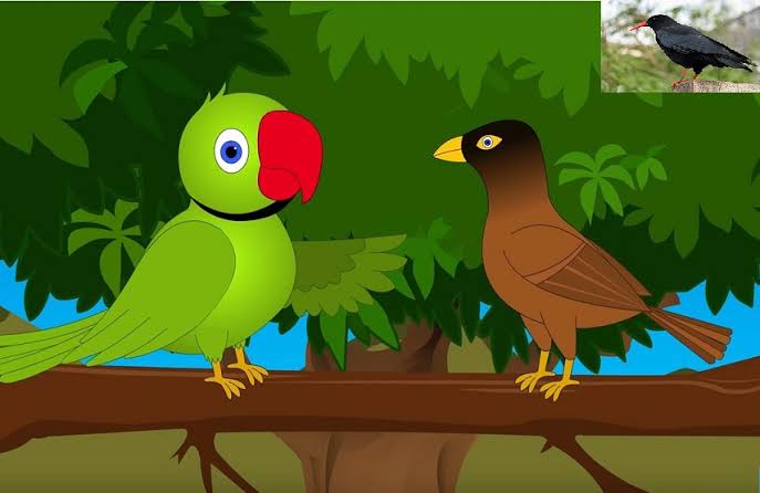 तोता मैना की बातें's image