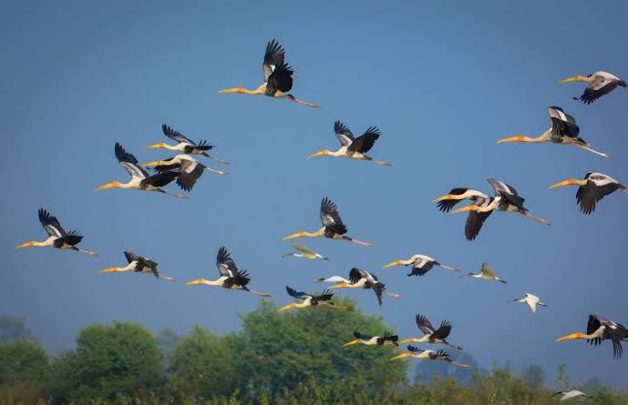 पंख फैला उड़ जा's image