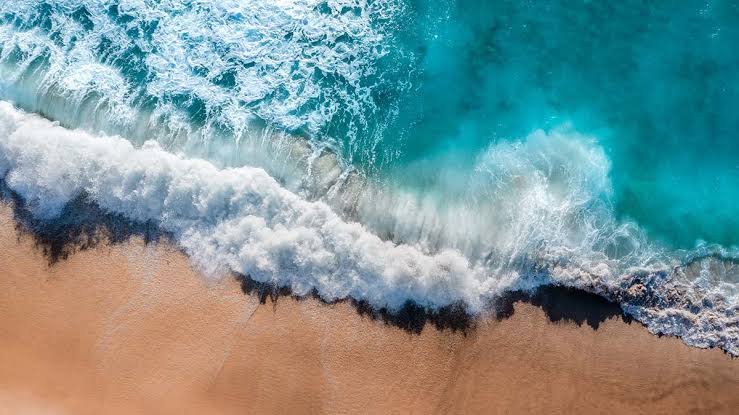 खामोशियों का समंदर's image