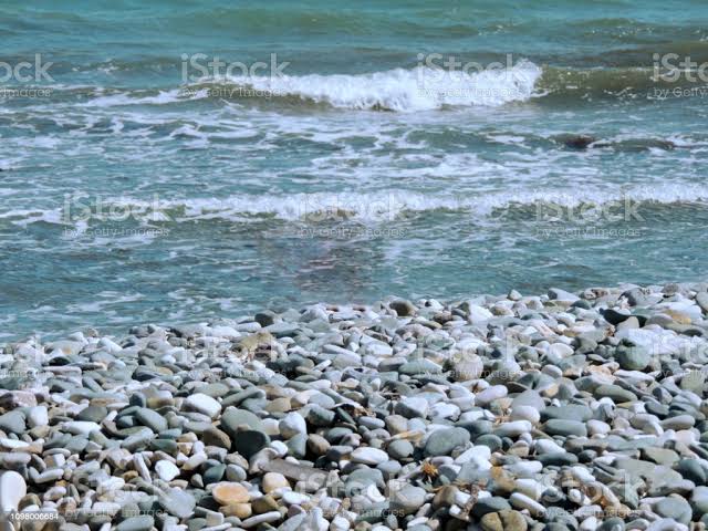 मोती's image