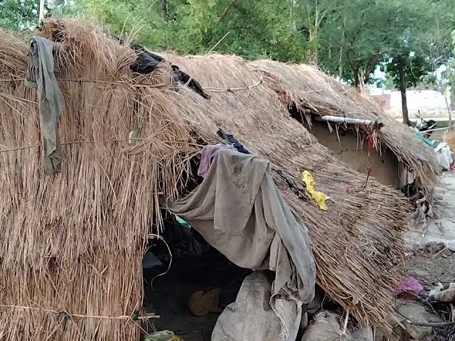 एक चिराग की रोशनी's image