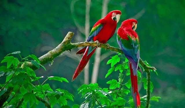 दोस्त दुश्मन's image