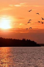 आसमान की उड़ान's image