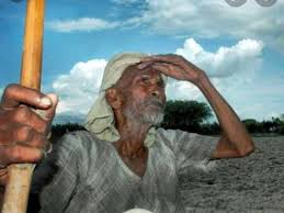 बादल वर्षो's image