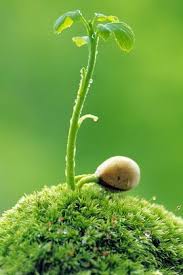 ऐ जिंदगी शुक्रिया's image