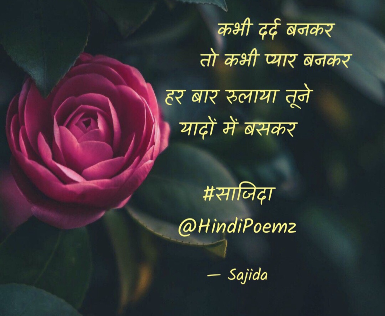 कभी दर्द बनकर ,, तो कभी प्यार बनकर ...'s image