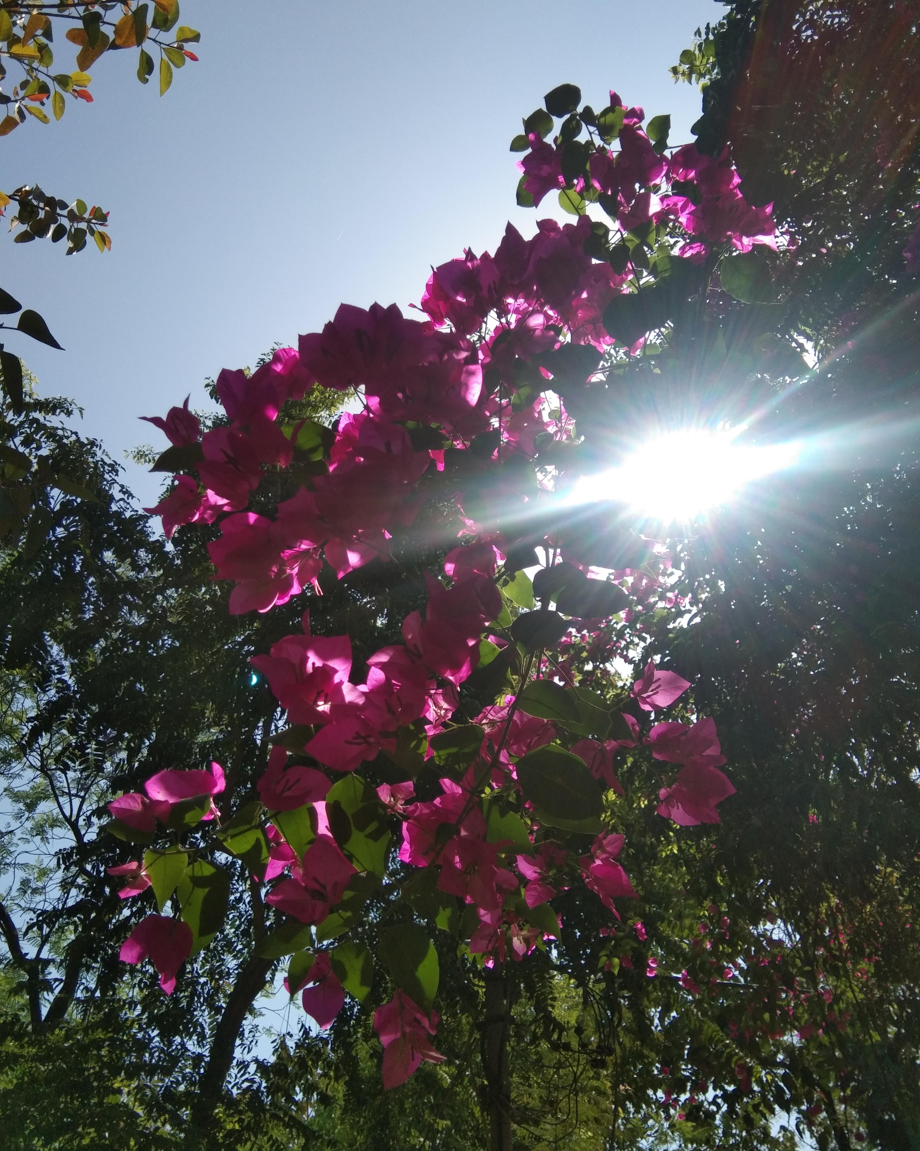 राह लूँगी's image