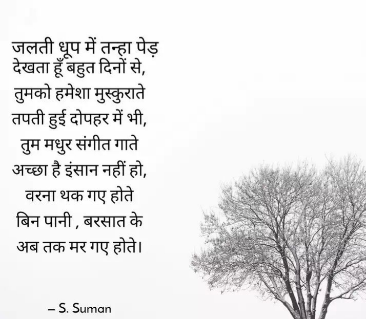 तन्हा पेड़'s image
