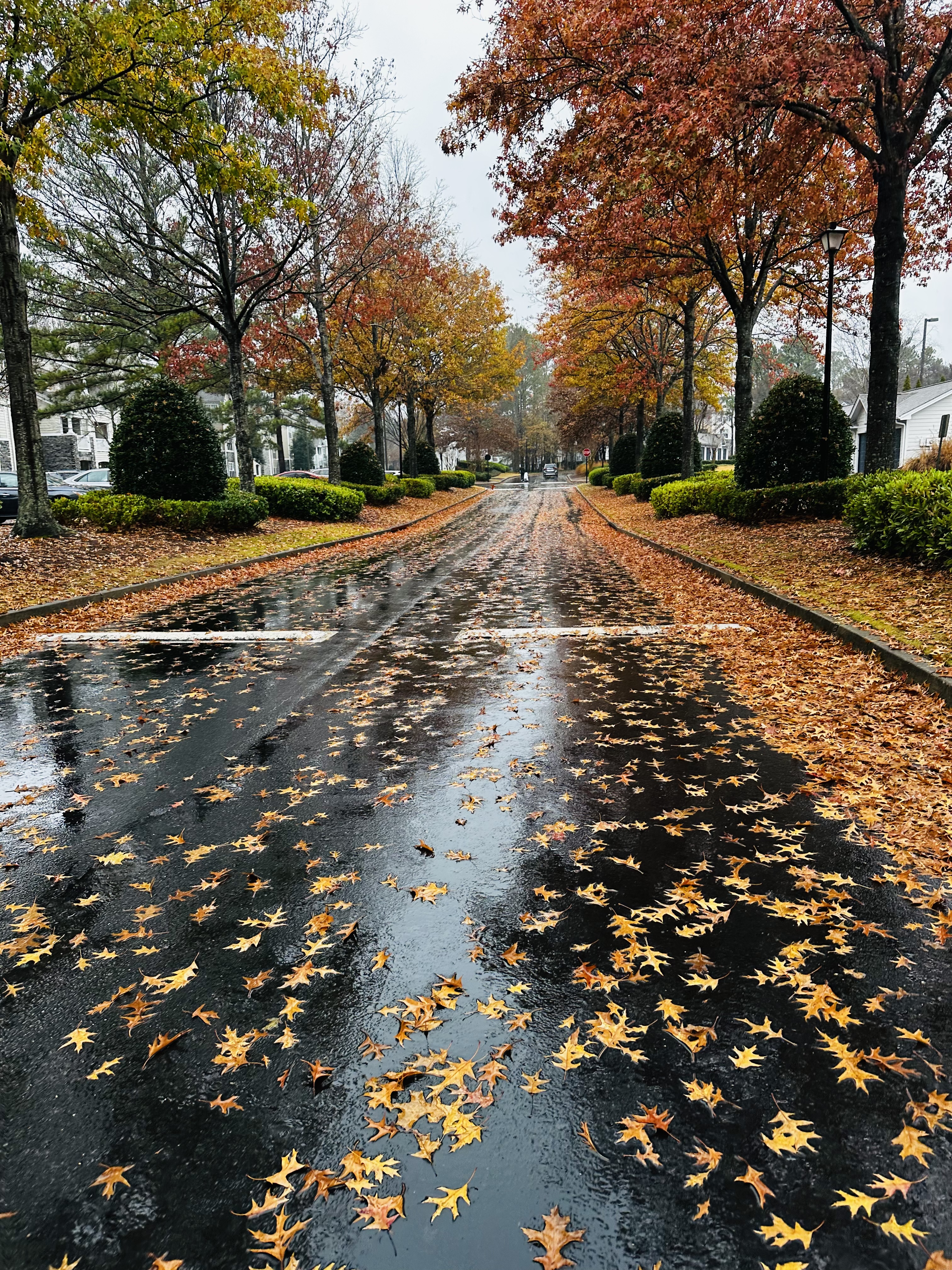 बरसात's image