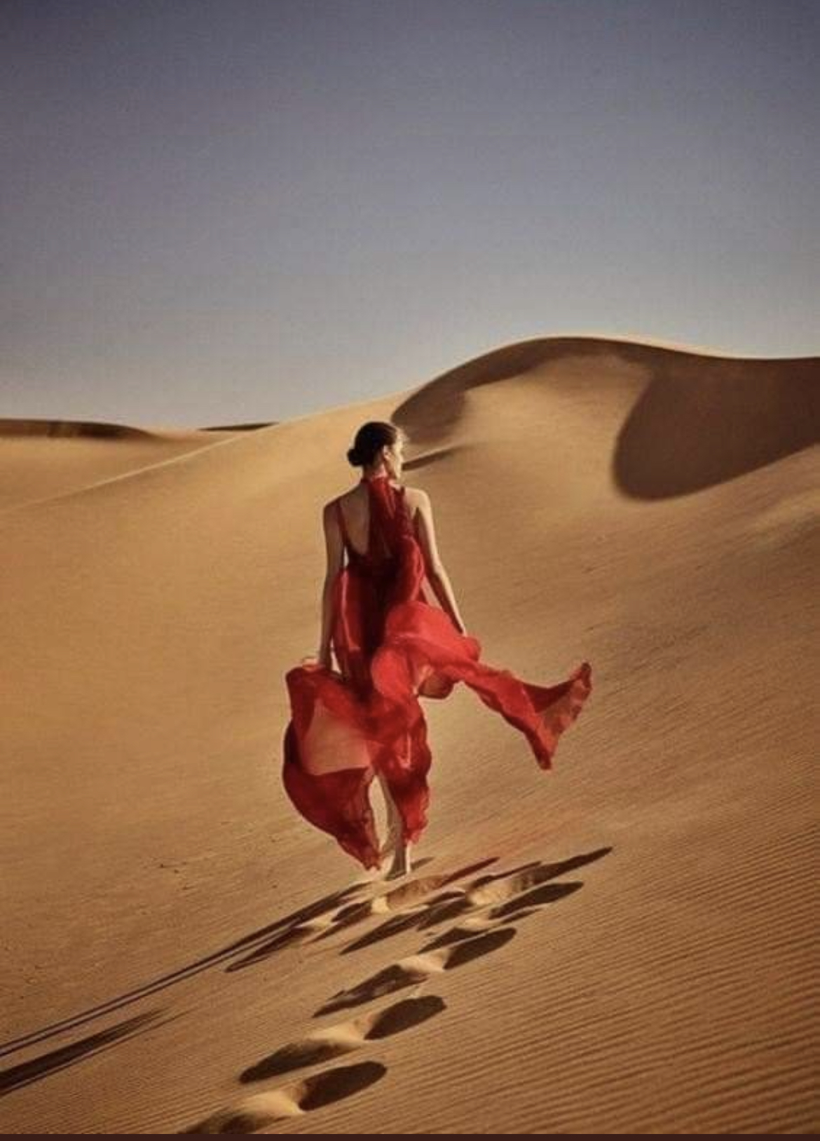 मेरी अंतिम यात्रा's image