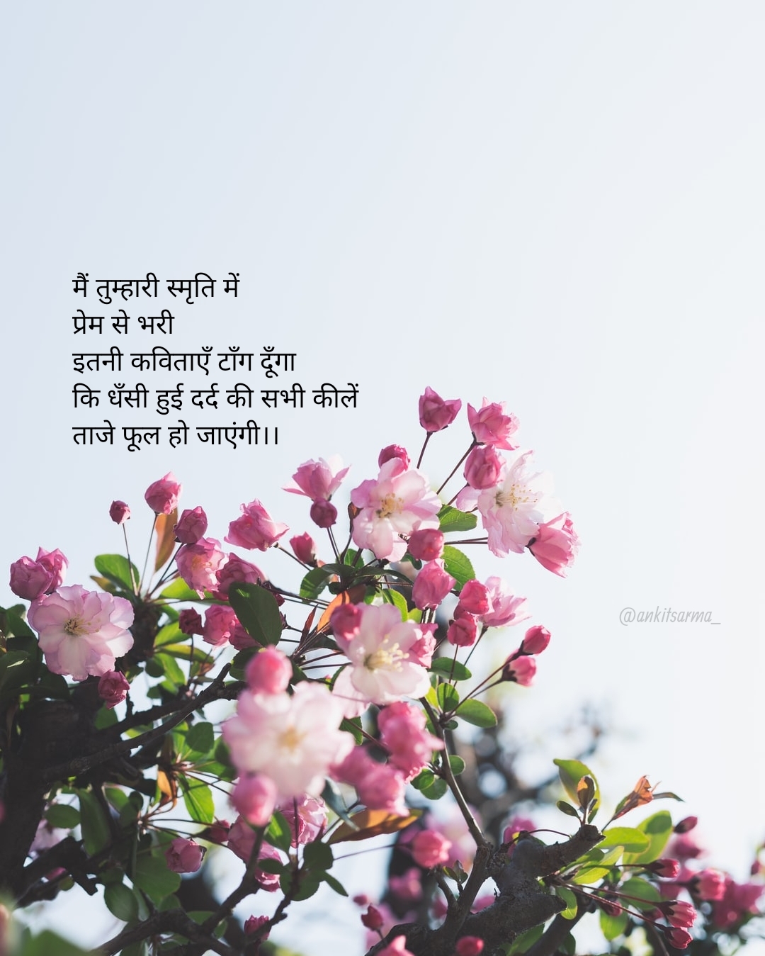 ताजे फूल