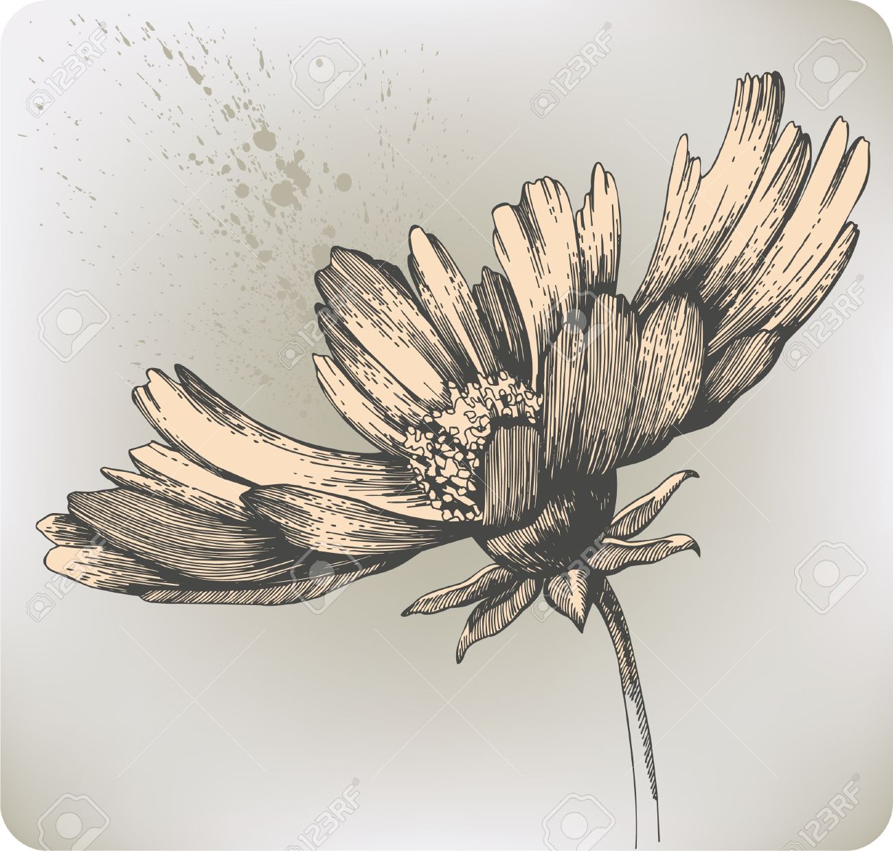 Let me bloom's image