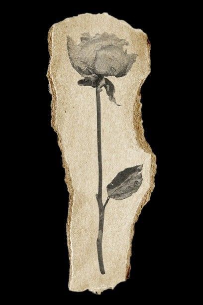 मैं अगर लिखूं। #anaamkalam's image