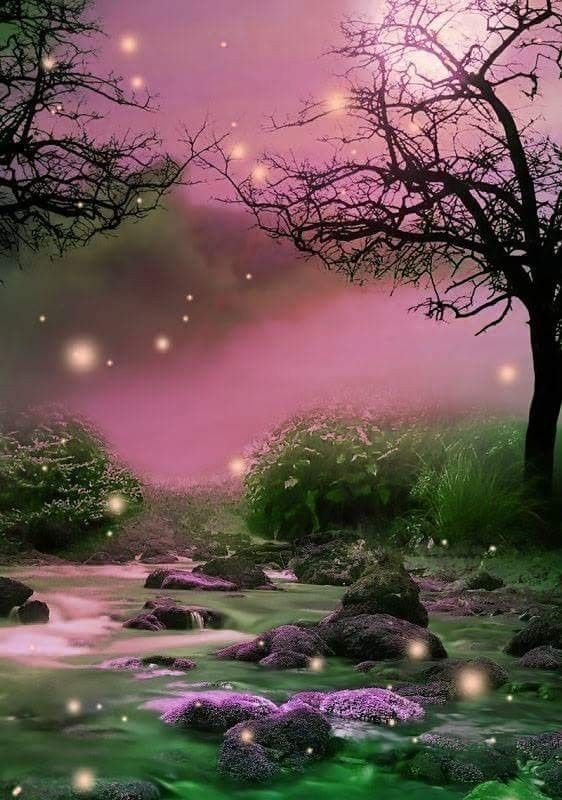 कविता सपना's image