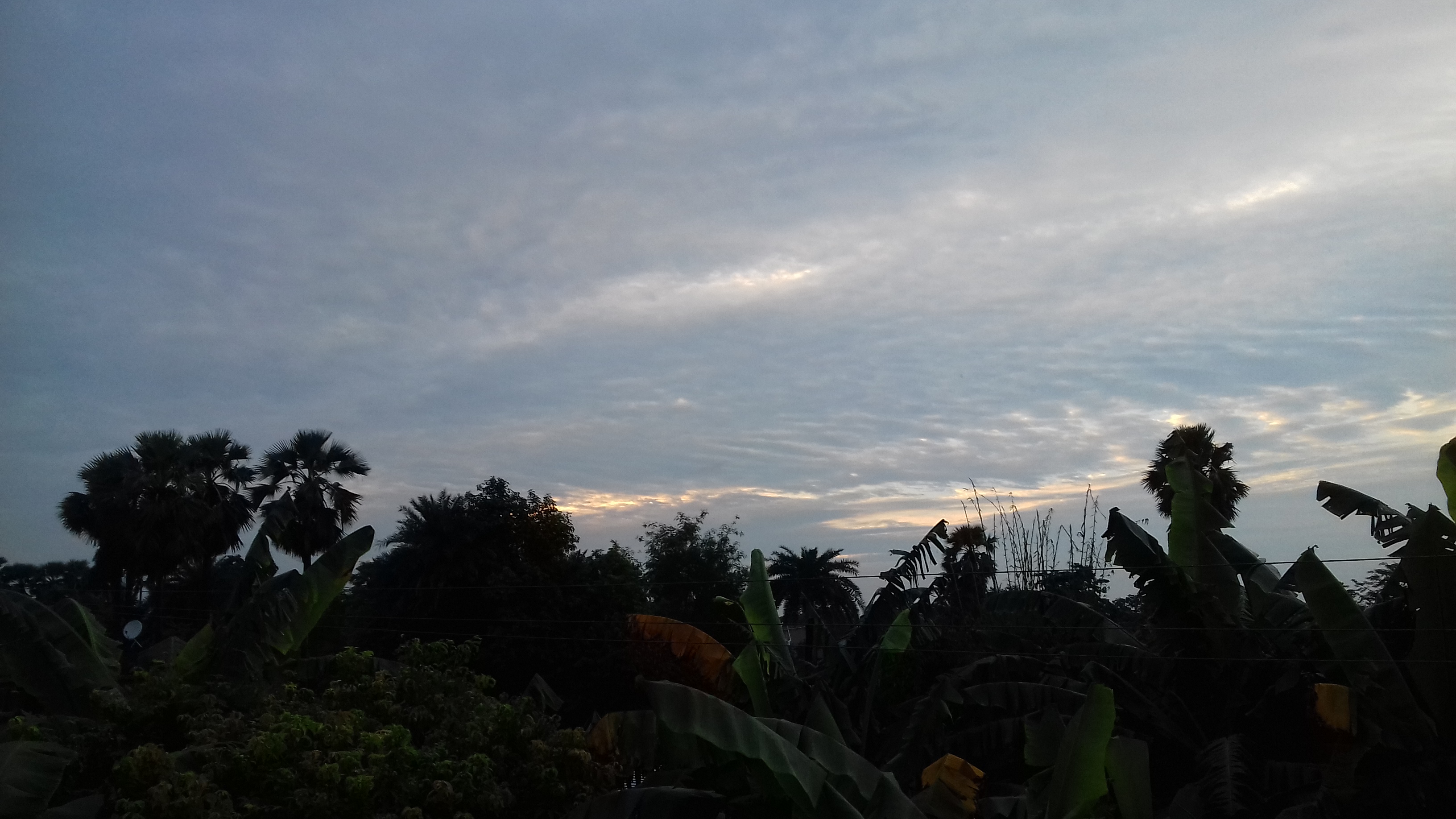 प्रकृति प्रेम's image