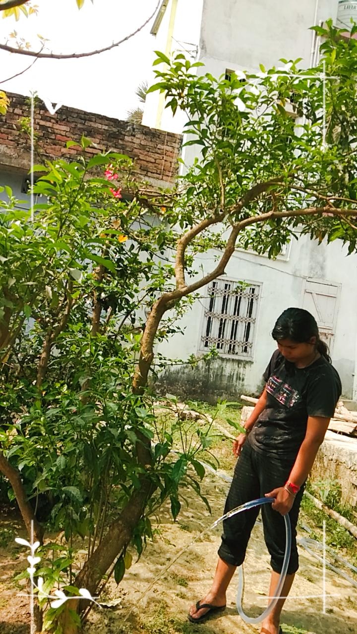 Environment