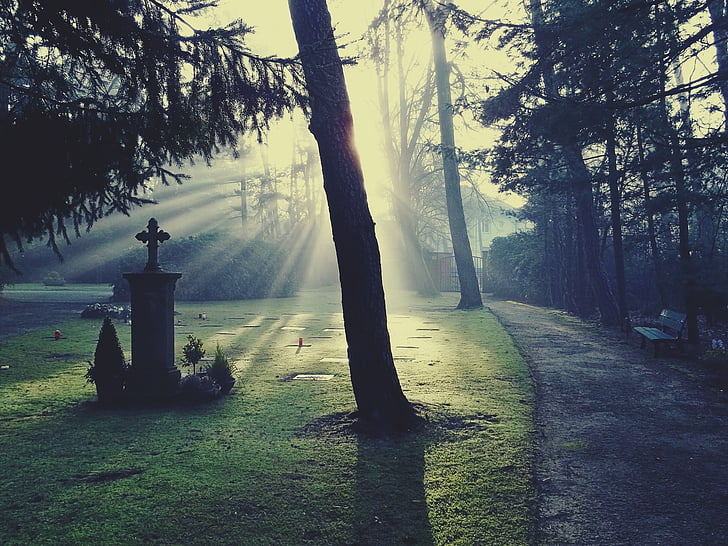 ज़ाब्ते