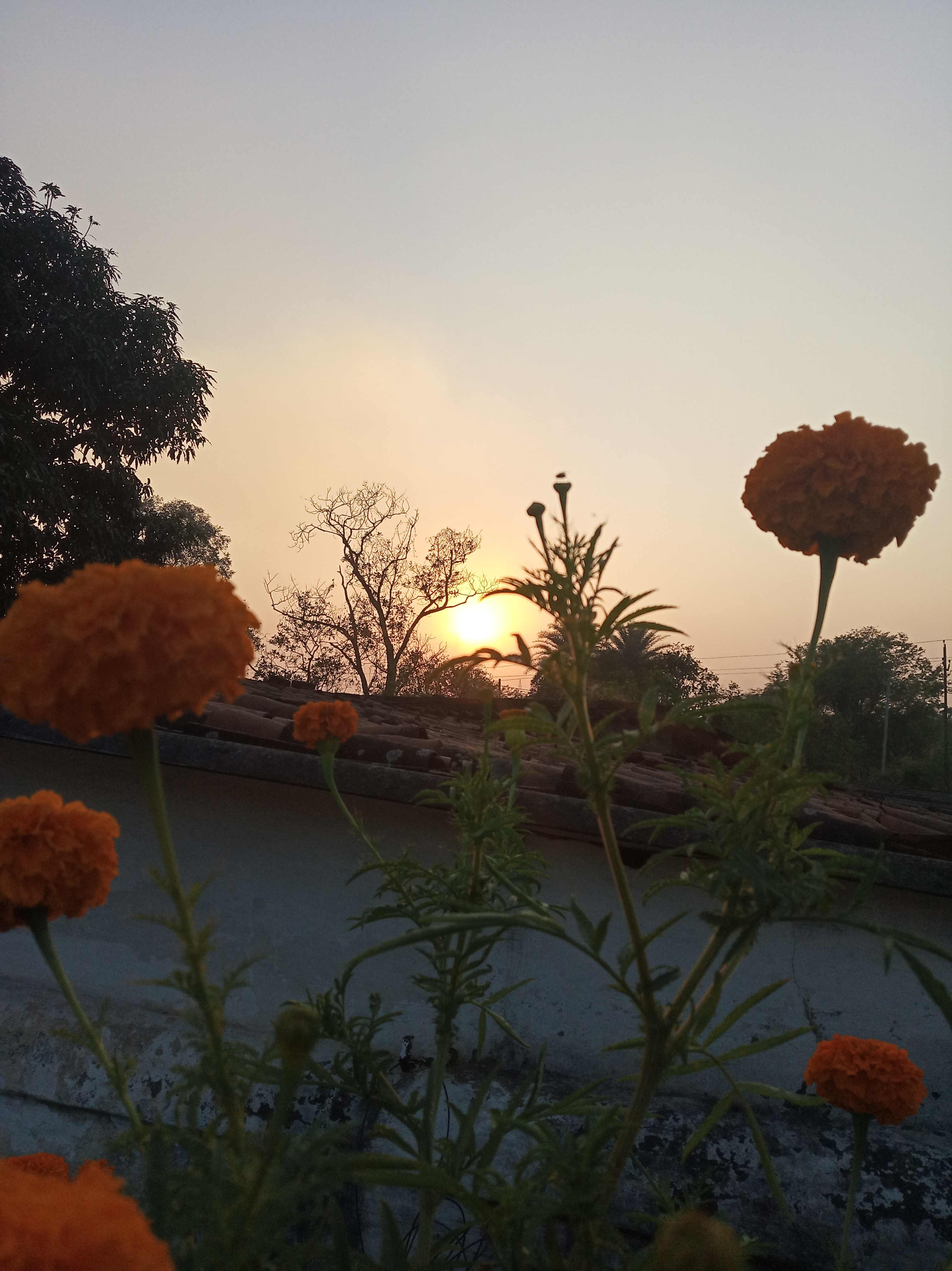 प्रहार कर
