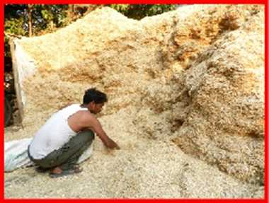 भूसे के ढेर पर थे बैठे हुए's image