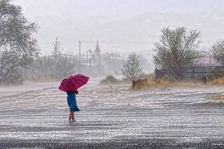 मेरे गांव की खुशबू's image