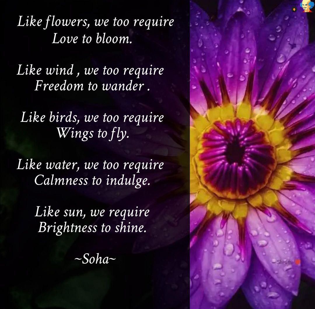 We too require...