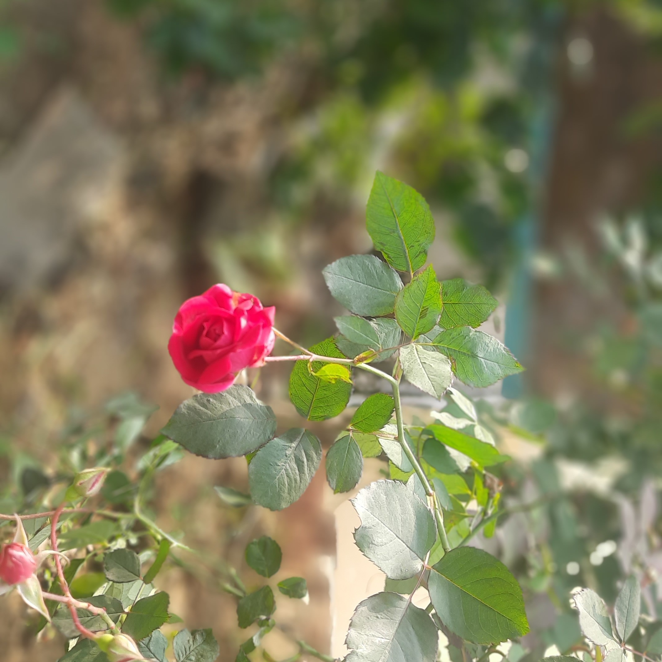 आंसू..'s image