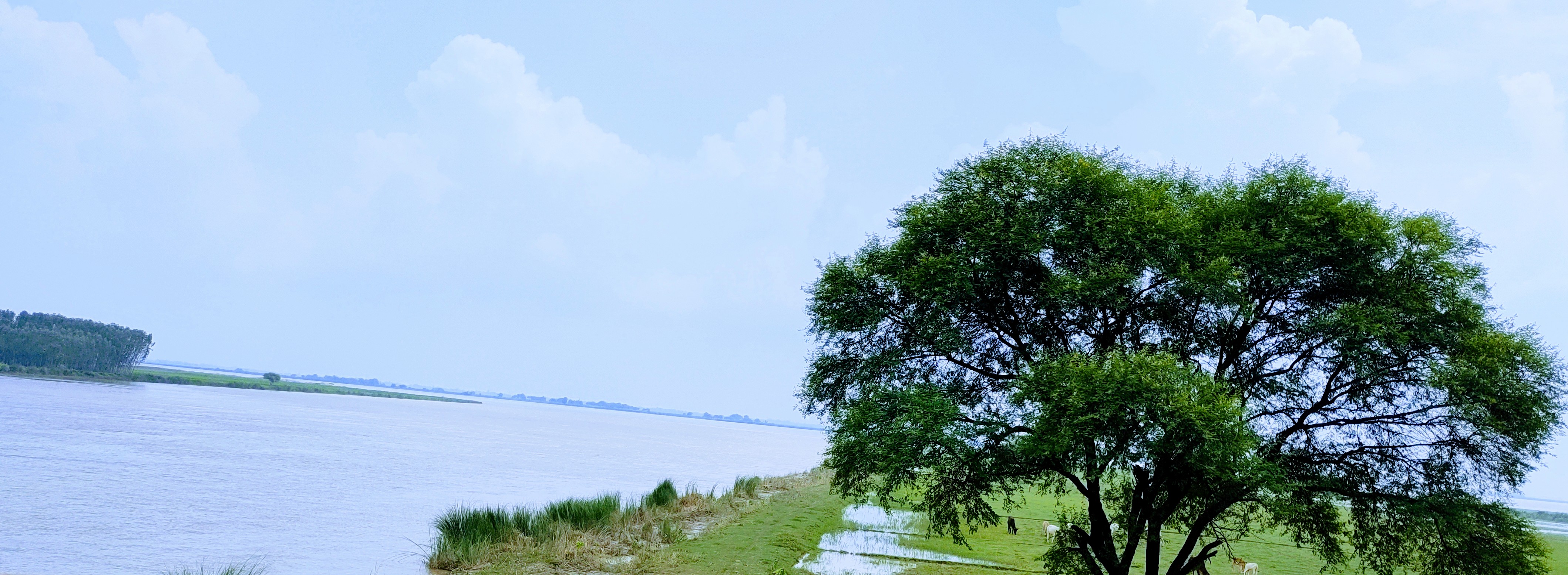 मन व्यथित है...'s image