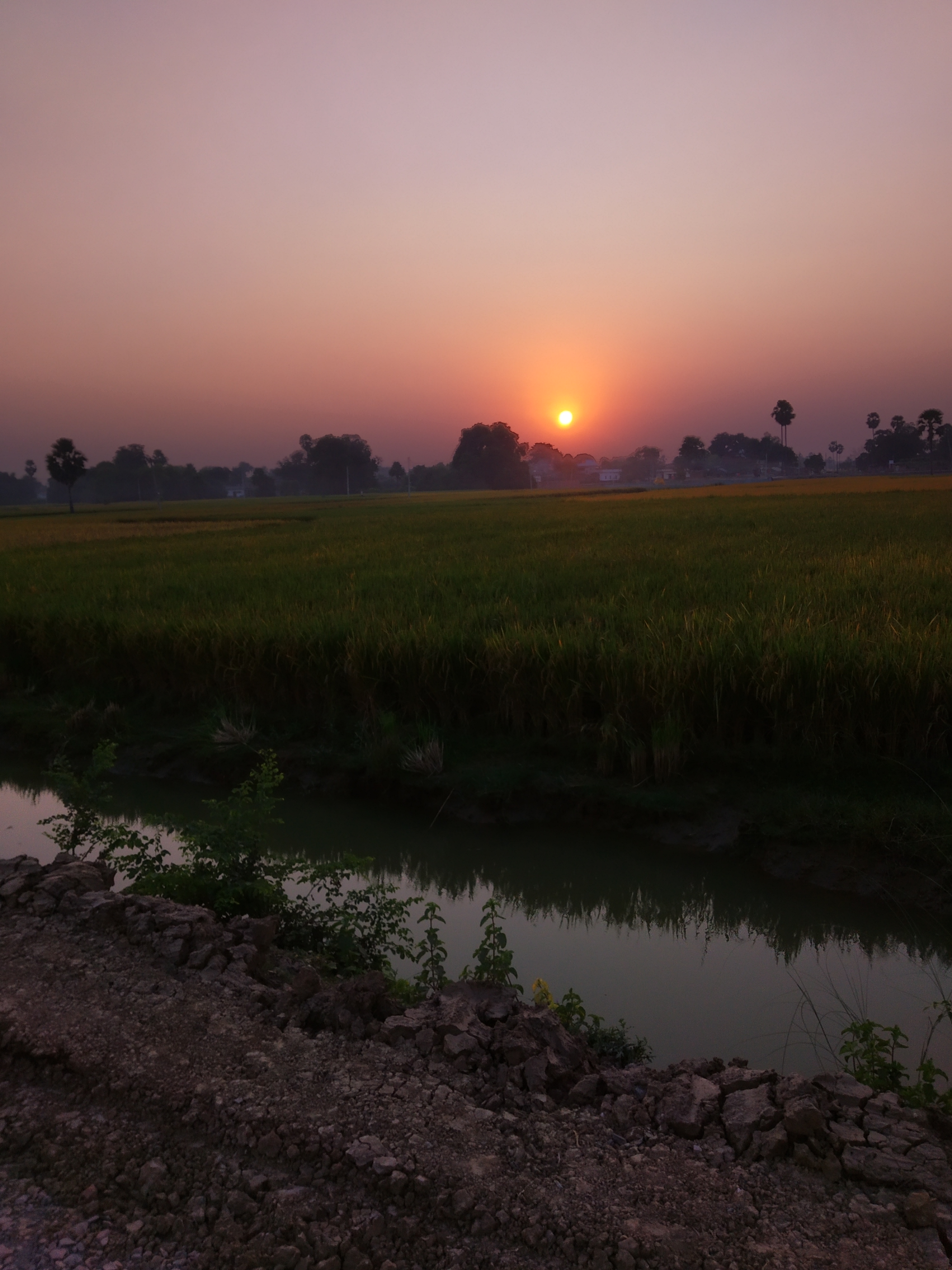 शाम