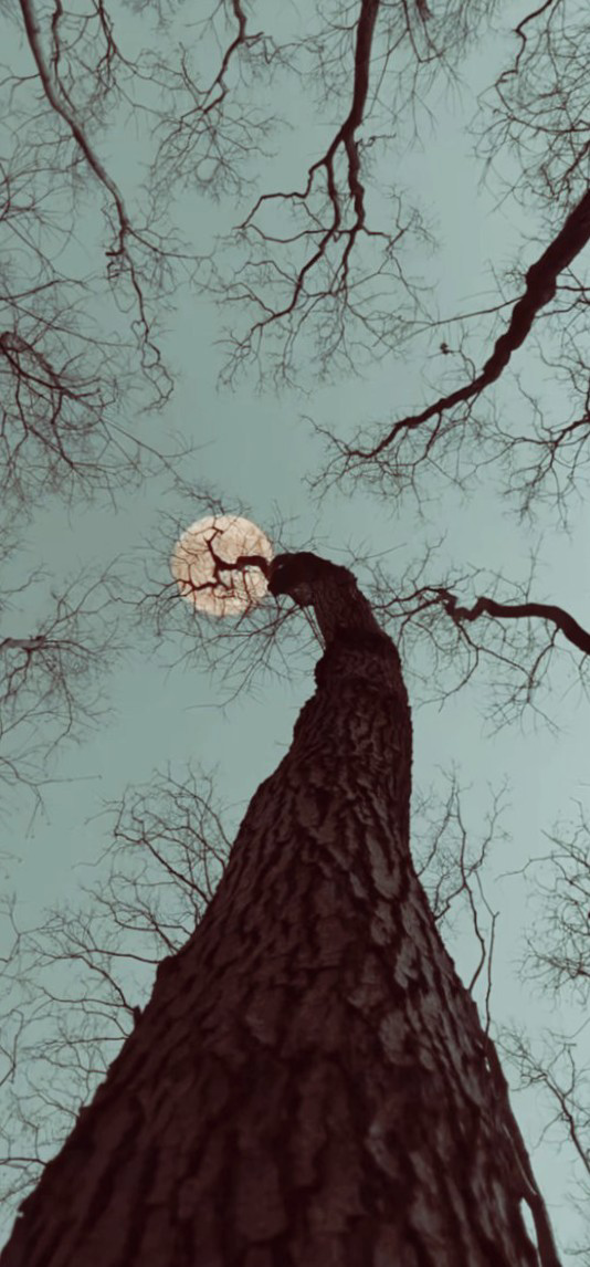 हो जाना's image