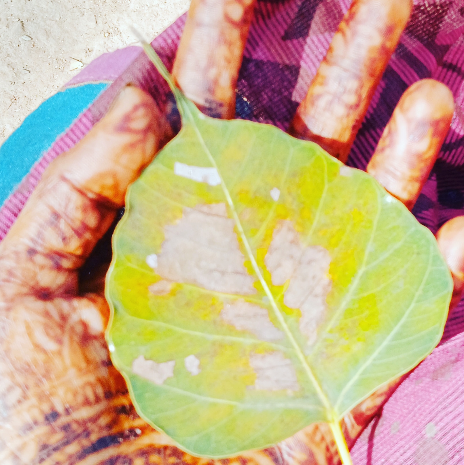 सुकून।'s image