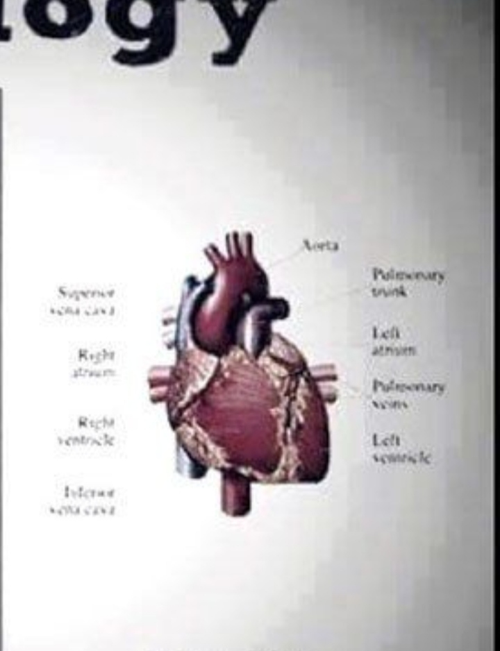मेरी रूहे गवाही देंगी मेरे इश्क का।'s image