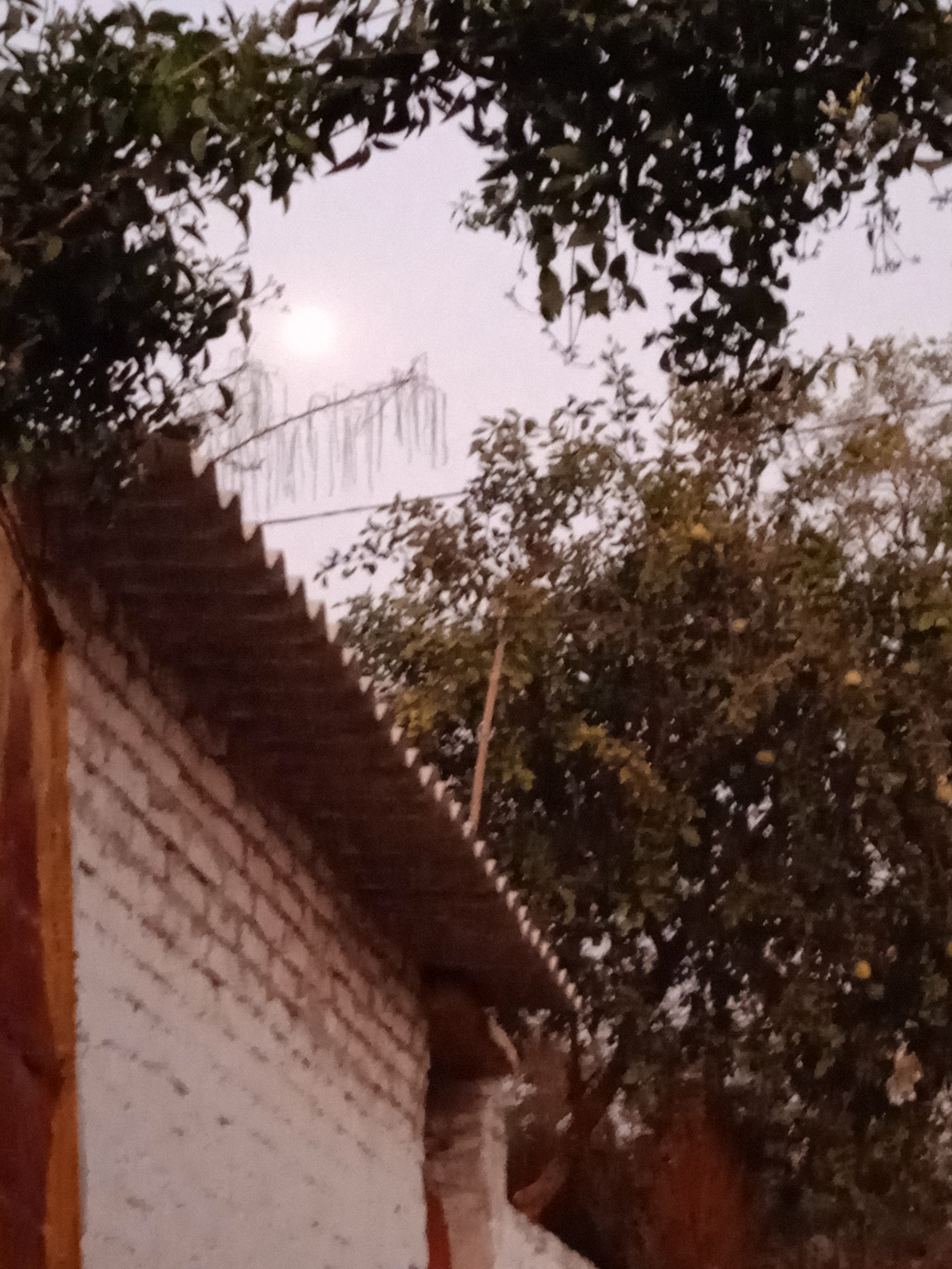 शराबी।'s image