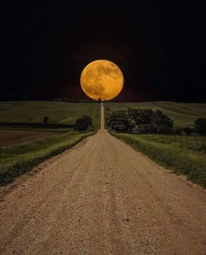 नयी राह's image