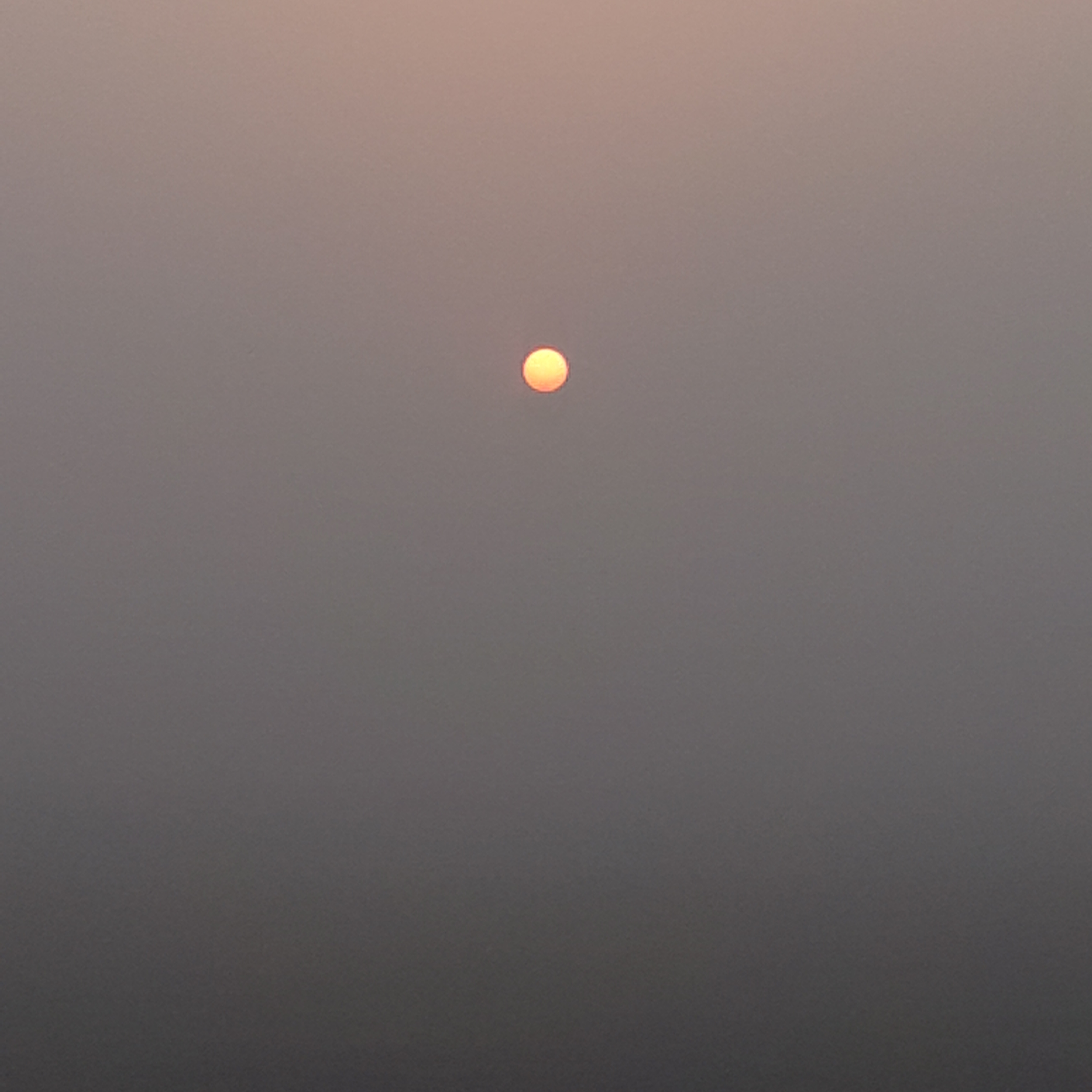 आत्म सम्मान