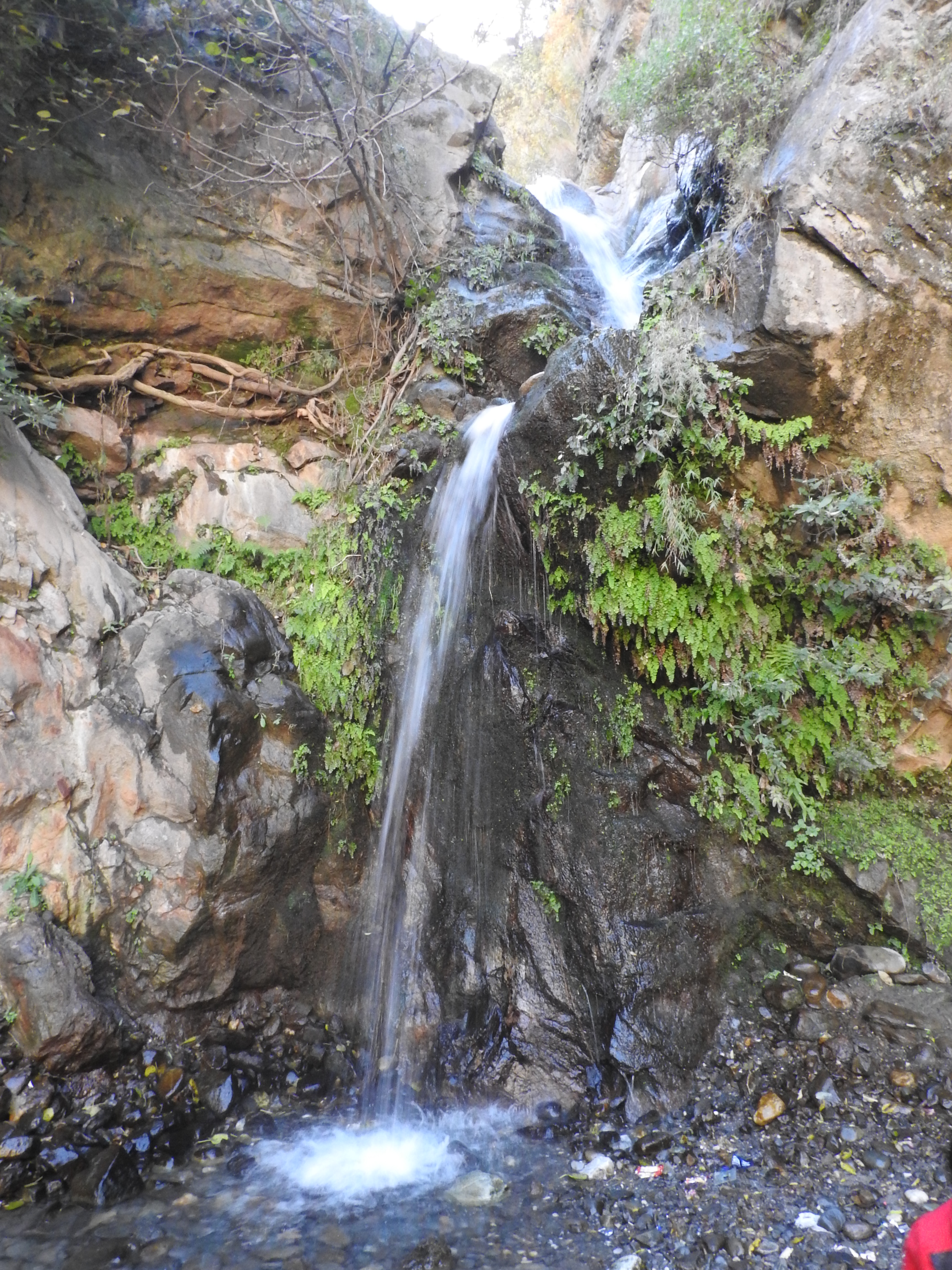 रेत's image