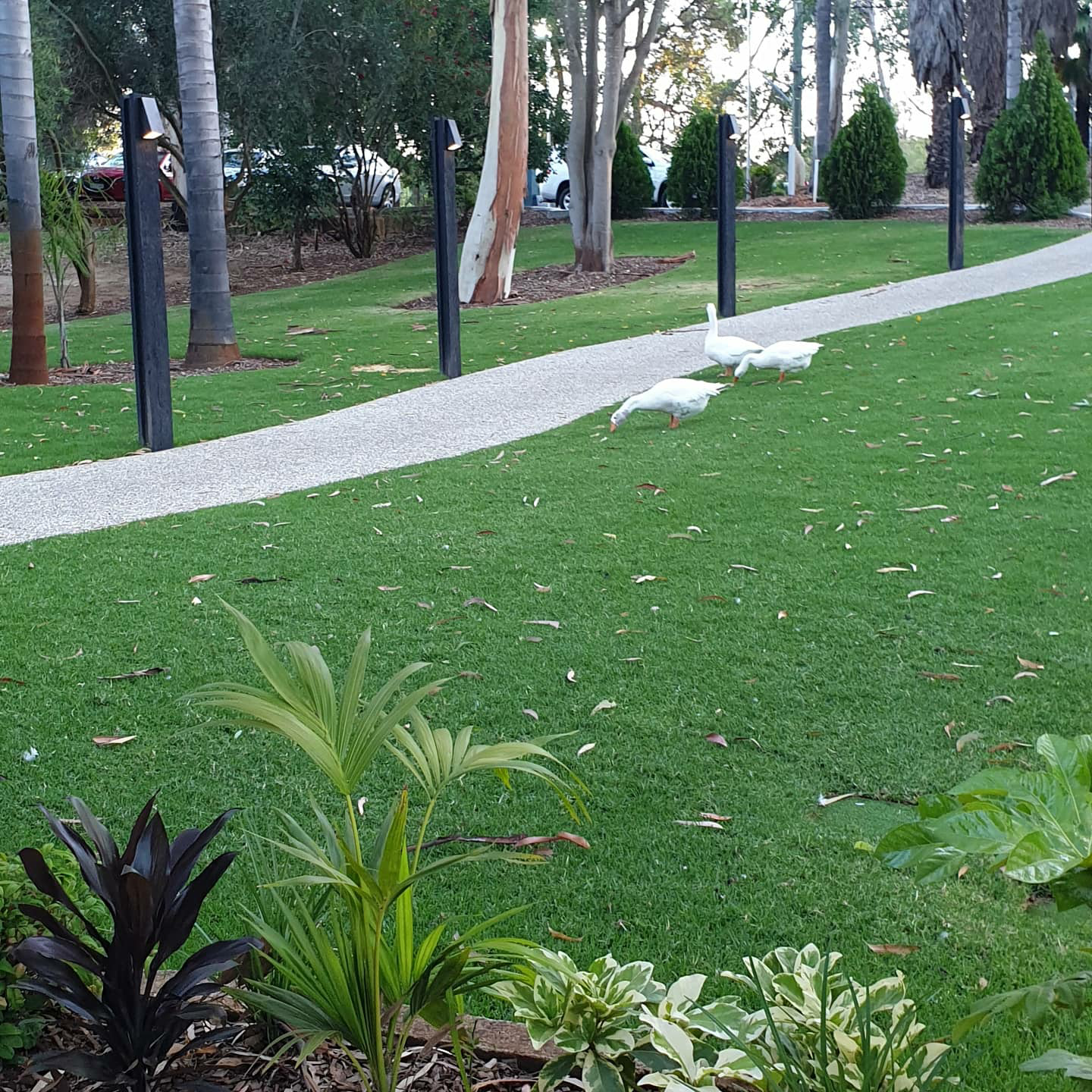 इज़हार's image