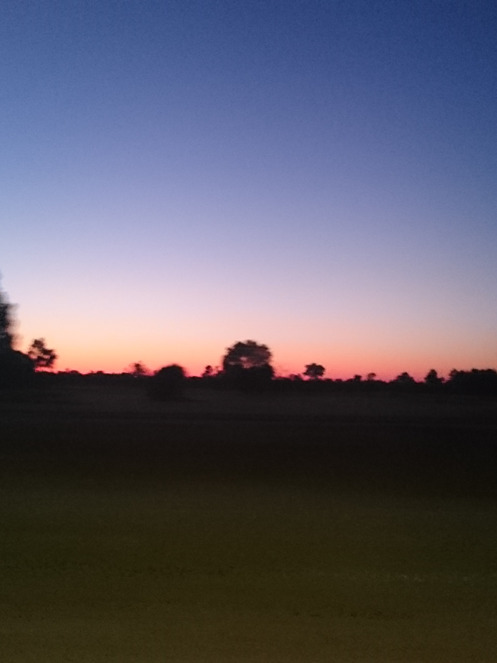 तन्हा दिल's image