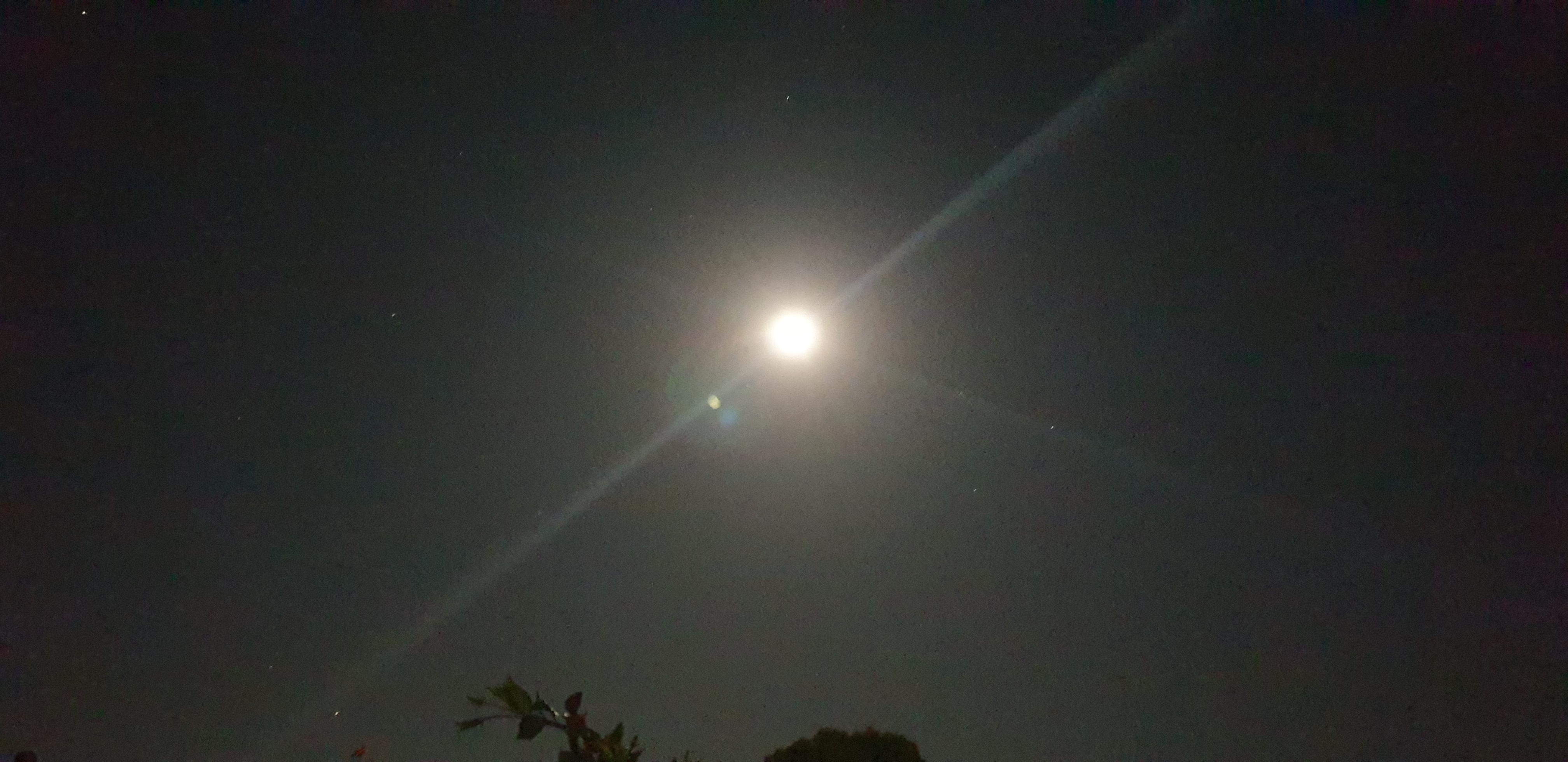 ਤਾਰਿਆਂ ਦੀ ਮੰਜੀ's image