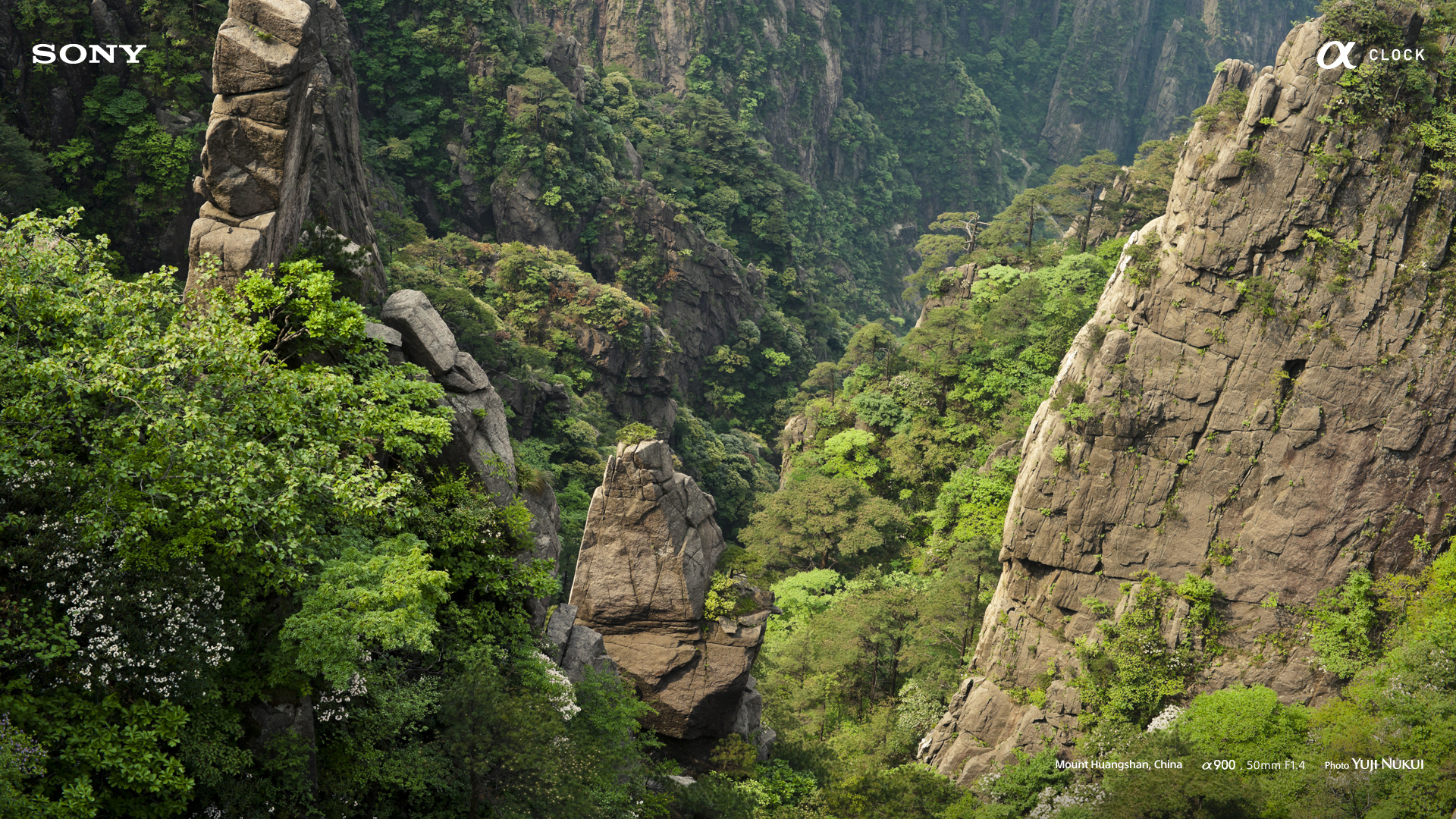 खामोशी's image