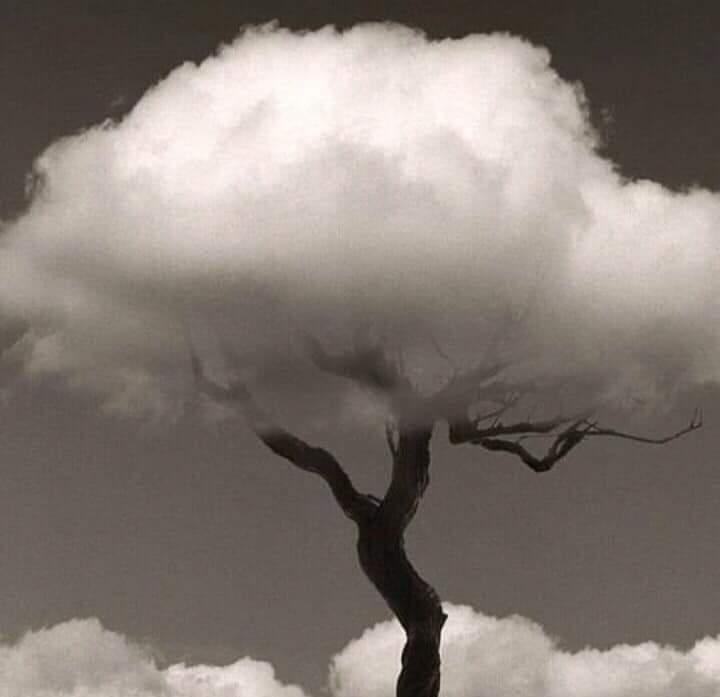 हर नए साल...'s image