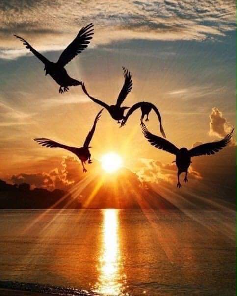 जिन्दगी's image