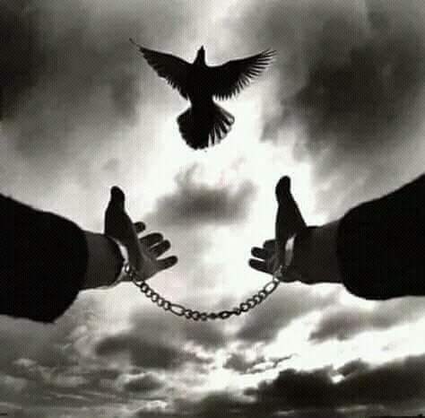 जंजीरें's image