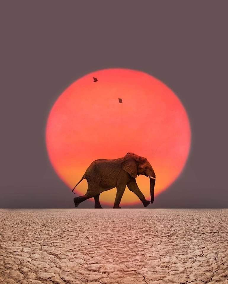 मतिभ्रम's image